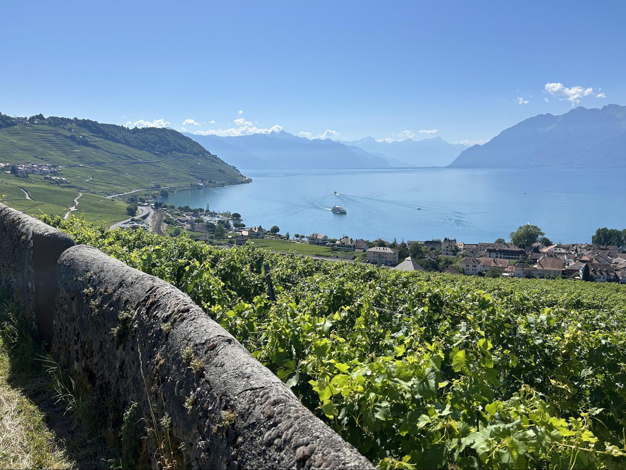 View of Lavaux vineyards and Lake Geneva, Switzerland